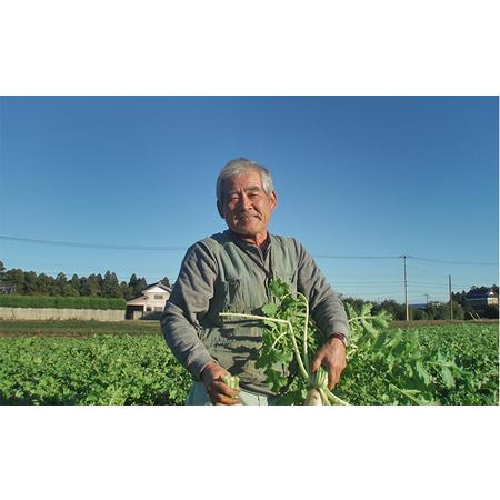 ふるさと納税 おかげさま農場の野菜のおまかせセット（無化学農薬・肥料栽培） 千葉県成田市