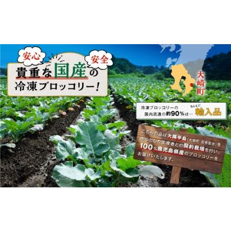 ふるさと納税 鹿児島県産　冷凍ブロッコリー 鹿児島県大崎町