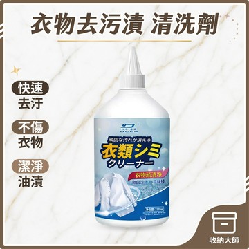 台灣現貨 衣物去污漬 清洗劑 250ML 去漬油 去除辣椒油 衣服清洗劑 去油污 墨漬 筆漬 顏料漬 去除劑 收納大師