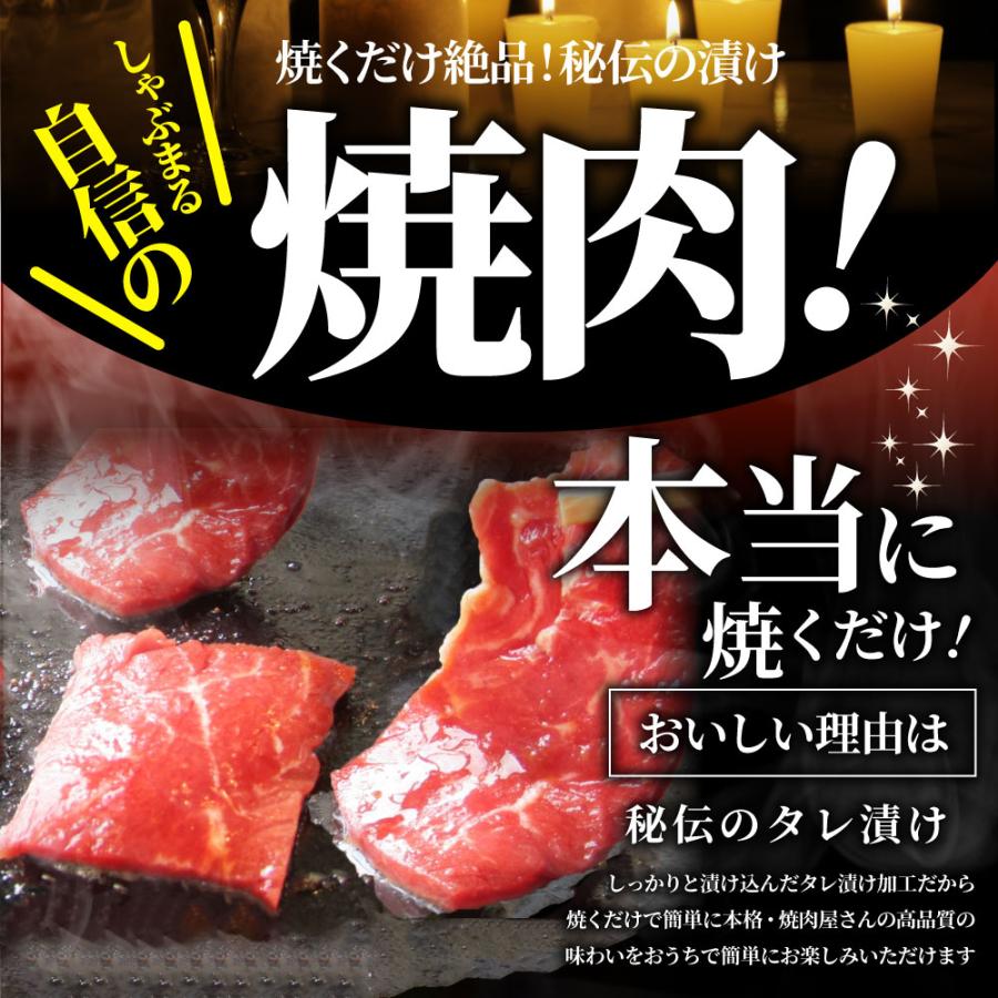 焼肉 セット 牛肉 肉 達人セット 5種盛り 食べ比べ5人前 カルビ ホルモン 福袋 お歳暮 ギフト 食品 プレゼント 女性 男性 お祝い 新生活