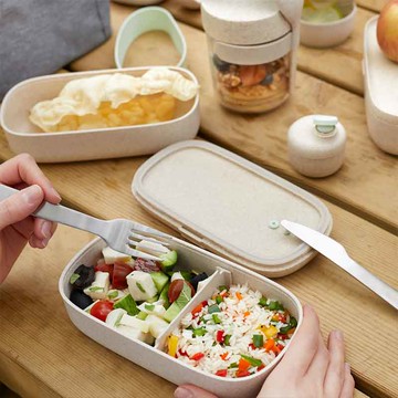 【預購】雙層便當盒組(500ml) 環保收納餐盒廚具用品