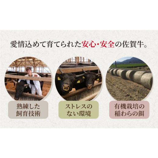 ふるさと納税 佐賀県 江北町 佐賀牛 カルビ 400g 焼肉用  [HAD094]