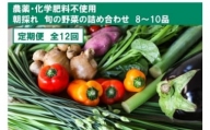 『定期便』土佐の太陽をいっぱいに浴びた旬の野菜セット小（12回配送）