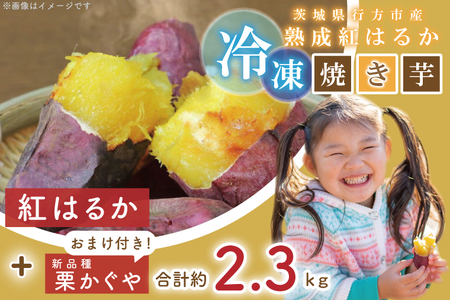 EY-2　茨城県行方市産熟成紅はるか少し大きめサイズ冷凍焼き芋2キロ！おまけ付‼合計約2.3キロ!!!