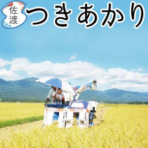 令和5年産 佐渡産つきあかり20kg （白米 玄米）（無洗米 7分づき：有料）大野山麓で栽培したお米 農薬5割減 【