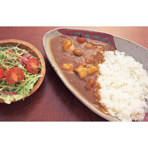 黒鶏 チキンカレー