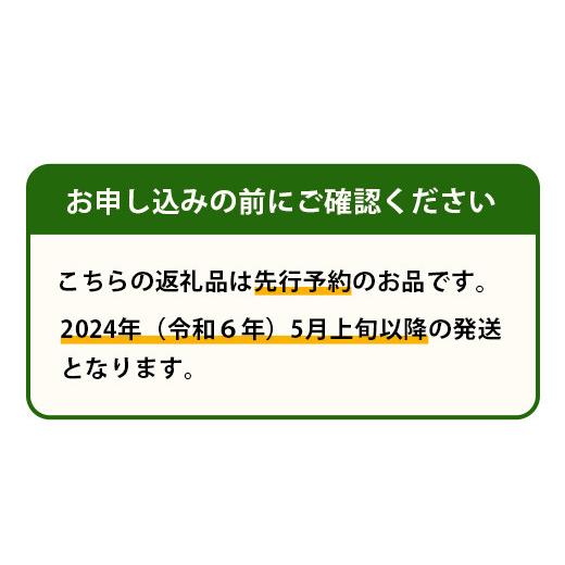 ふるさと納税 熊本県 多良木町 熊本県産 ホームランメロン アンデスメロン 食べ比べ 計2玉 約3kg メロン フルーツ 果物…