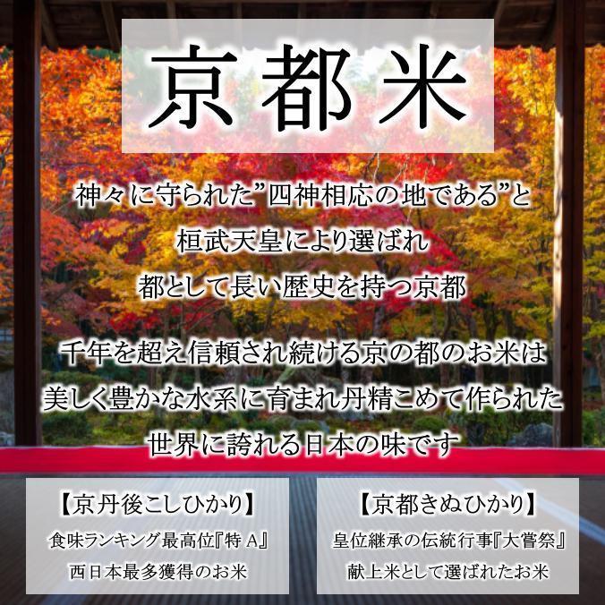 新米 お米 10kg 京式部 玄米 5kg×2袋 京料理人ご用達 令和4年産 新品種 精米無料 白米 5分付き 7分づき 熨斗無料 ギフト 紙袋 嬉しいプレゼント付き 送料無料