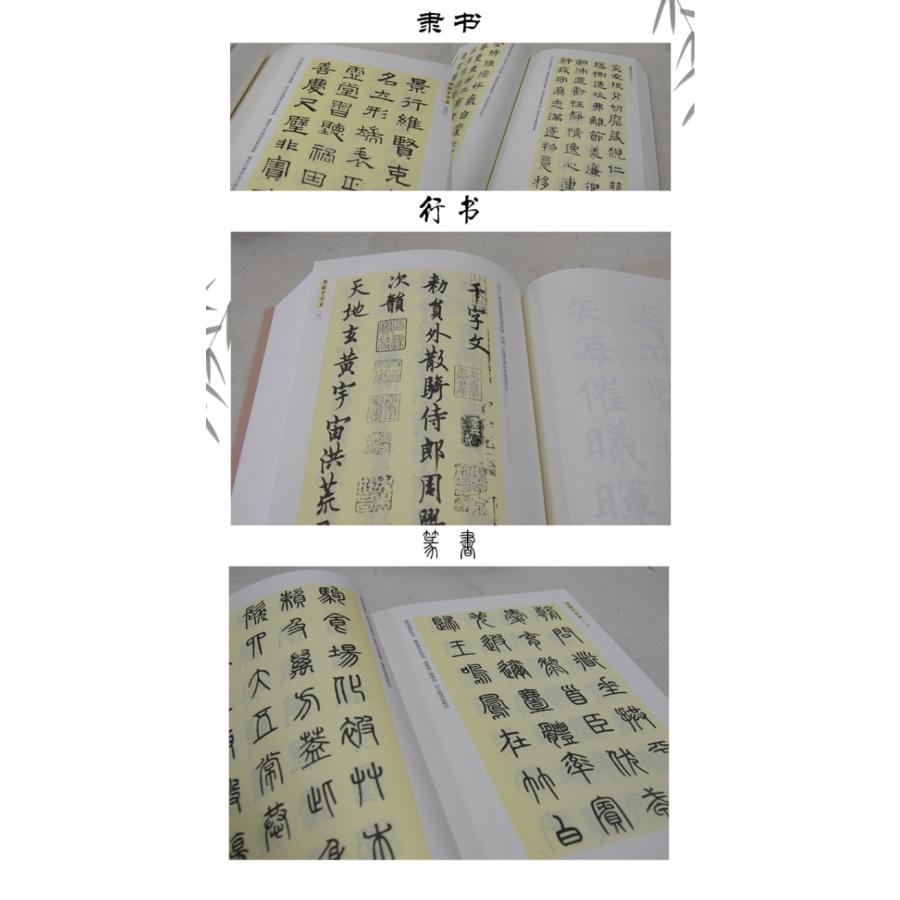 書法千字文　伝世書法経典　中国語書道 #20070;法千字文#21382;代名家名帖教程