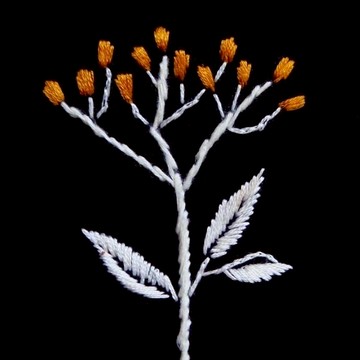 蒔蘿手工刺繡記事本(繪圖本)