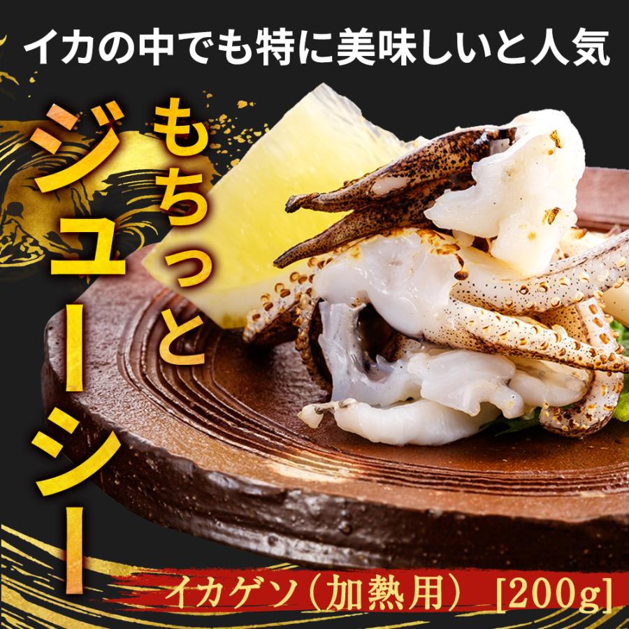 新鮮 あおりいか三昧セット （むき身500g、ゲソ200g、いかそ〜めん200g）