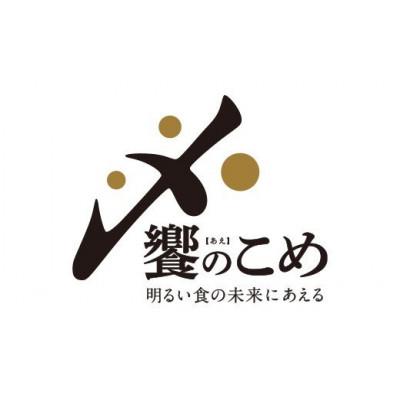 ふるさと納税 羽咋市 石川県産　ゆめみづほ　5kg(5kg×1袋)　白米