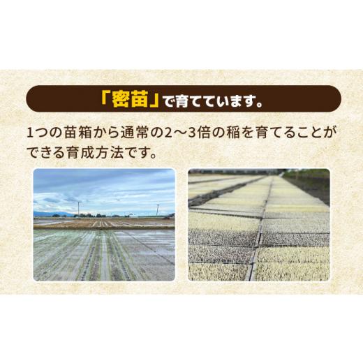 ふるさと納税 佐賀県 江北町 がばいうまか エガシライス 夢しずく 玄米 10kg 5kg×2袋  [HAU011]