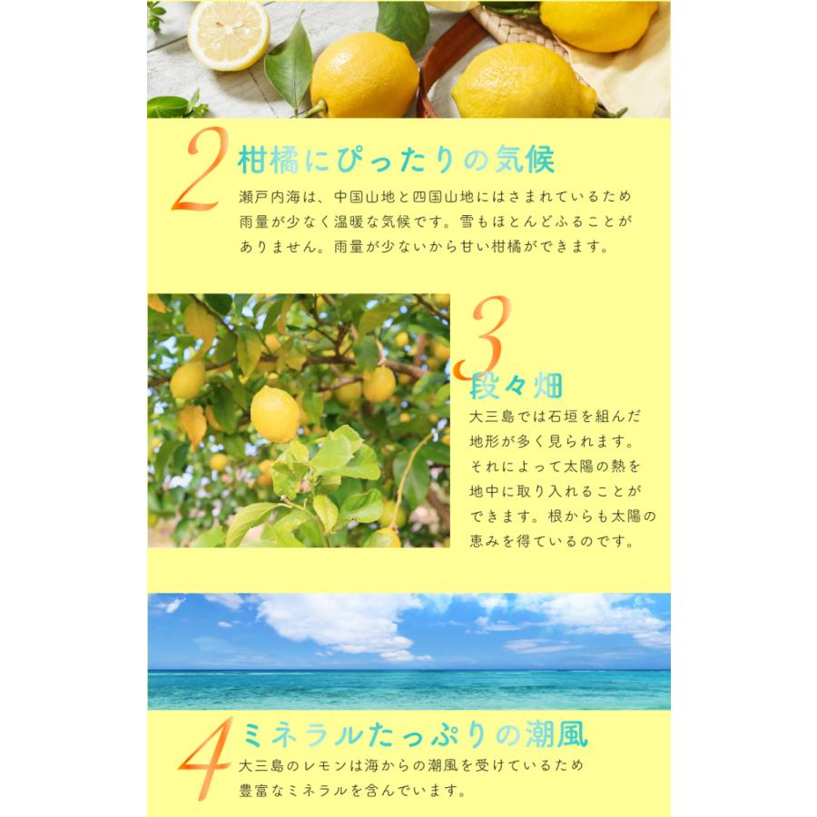 低農薬 国産 レモン 5kg 訳あり 愛媛 瀬戸内 大三島 ore