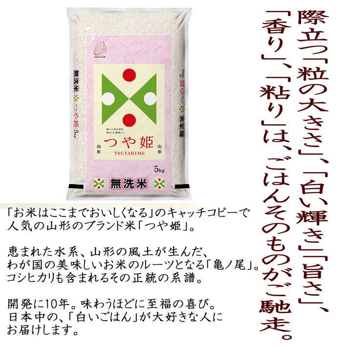 米 2023年度 令和5年度産 5kg 無洗米 つや姫 山形県産 BG無洗米 東北食糧 送料無料