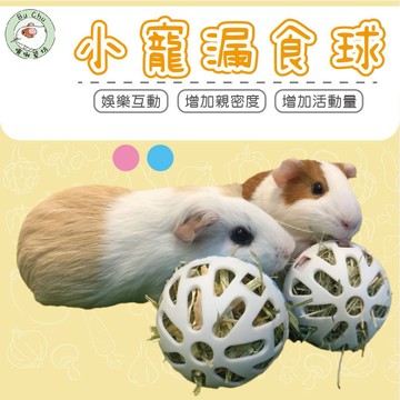 噗啾草坊🐹漏食球 玩樂球 漏食 玩具❤️ 小動物 寵物 兔子 天竺鼠 等小寵皆適用 現貨供應