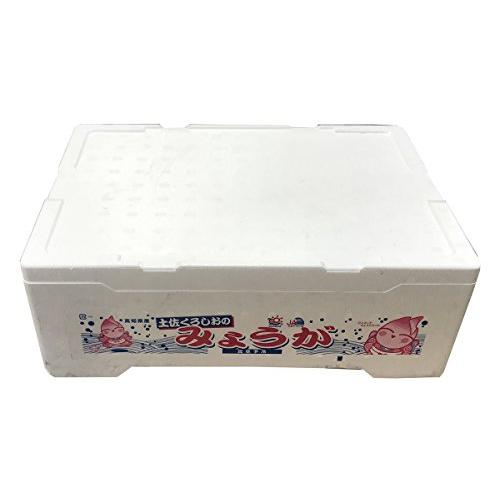 高知県産　みょうが　50gパック×40個入り（1箱）