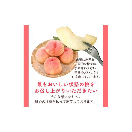 ふるさと納税 和歌山県 紀の川市 桃 約2kg（6-9玉） 岸武青果株式会社《2024年6月末頃-8月末頃より順次出荷》 和歌山県 紀の川市 桃山町 もも モ…