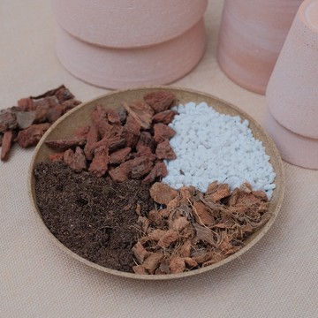 土壤介質