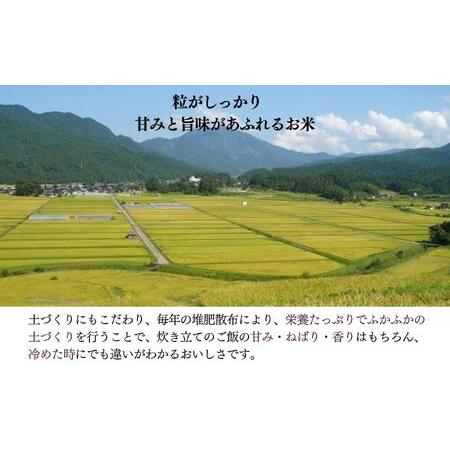 ふるさと納税 令和5年産新米 農家自慢の『新之助』2kg(1袋)×3回 計6kg  農家自慢の家族みんなで愛情かけて育てた米 新潟.. 新潟県糸魚川市