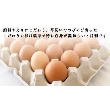 ふるさと納税 枝さんちのたまご(M〜L20個) 産地直送 餌にこだわり 平飼いでのびのび育った卵[BT001sa] 茨城県桜川市