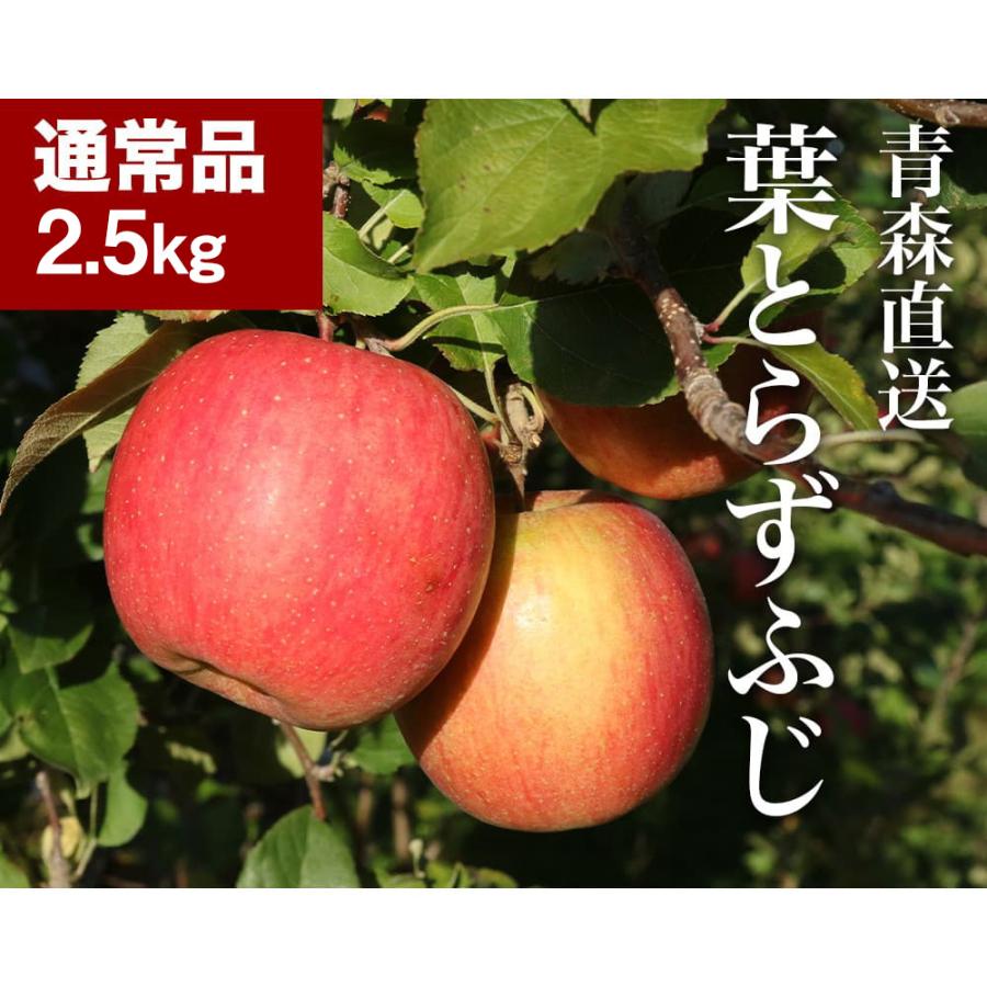 RED APPLE 青森直送 12月上旬より出荷以降発送予定 葉とらずふじ 蜜入り糖度13度 約2.5kg りんご 果物 旬 フルーツ ギフト