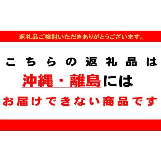 ふるさと納税 岐阜県 下呂市 ＼産地直送／朝採れ!! 春夏野菜SET 『シェフセレクト』（発送時期:6月下旬から9月末まで） 春夏収…