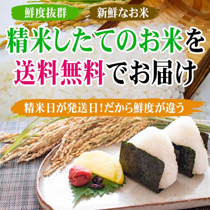 令和５年産新米 新潟県南魚沼しおざわ産プレミアム コシヒカリ 「極み」 玄米30kg 送料無料