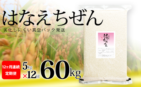 はなえちぜん 白米 5kg×12回 12ヶ月連続 定期便 60kg 真空パック ハナエチゼン 米 簡易梱包 エコ梱包