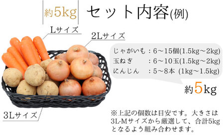  じゃが玉人参セット 約5kg じゃがいも・玉ねぎ・人参の定番野菜 3品目の野菜詰め合わせ 夏季は7～8品目 野菜 セット 大村市 古瀬青果[ACBD008]