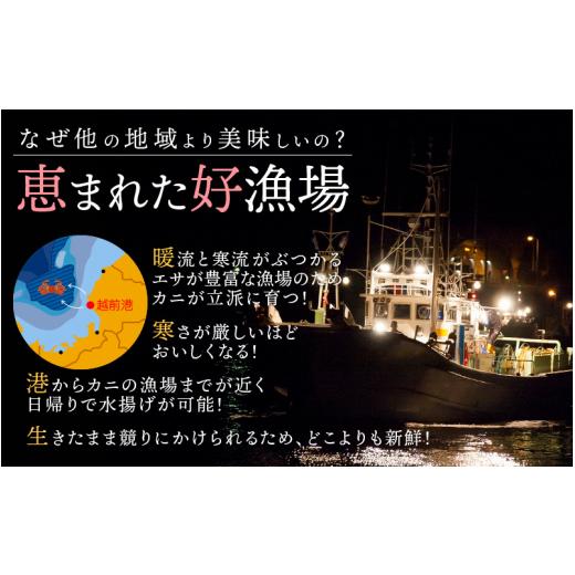 ふるさと納税 福井県 越前町 越前がに本場の越前町からお届け！ 越前がに 浜茹で 特大サイズ（生で1.2kg以上） × 1杯 かにの食べ方しおり付き【かに カニ 蟹…