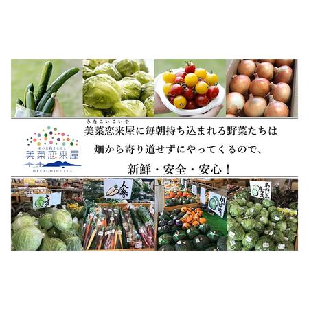 ふるさと納税 ほんまもん淡路島野菜BOX（大）2023年10月以降出荷 兵庫県