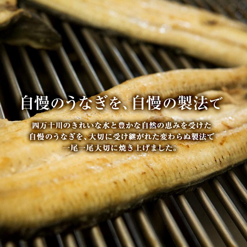 うなぎ 四万十うなぎ白焼き 約120g 国産最高級 グルメ プレゼント お歳暮 2023 ギフト