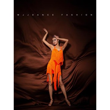 WJJdance拉丁舞連衣裙女2025新款掛脖綁帶弧線流蘇比賽花服表演出