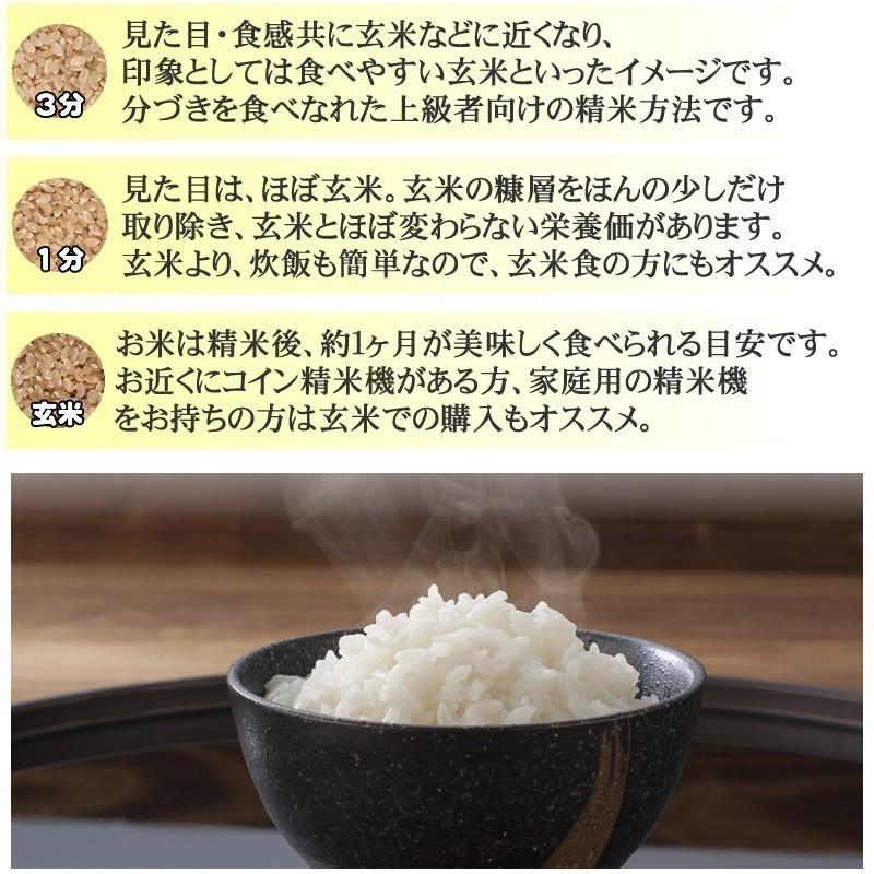 新米 米 玄米 30kg ひとめぼれ 30kg×1袋 令和5年産 岩手県産 精米無料 白米 無洗米 当日精米 送料無料