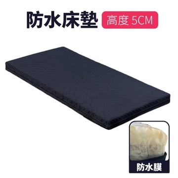 立新電動床床墊 防水款 薄型5公分 (病床/護理/醫療/單人床墊)