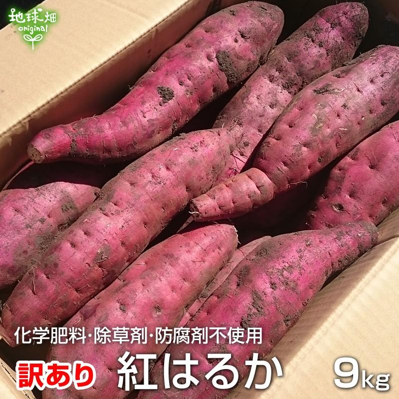 （訳あり）紅はるか 9kg 農薬・化学肥料不使用 鹿児島県産 宮崎県産 訳アリ わけあり B品 土付き さつまいも サツマイモ べにはるか 国産 無農薬 自宅用