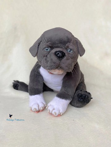 美国比特斗牛犬狗小狗现实玩具