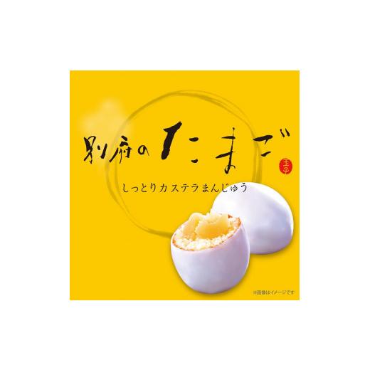 ふるさと納税 大分県 別府市 別府のたまご 14個入り 2箱セット