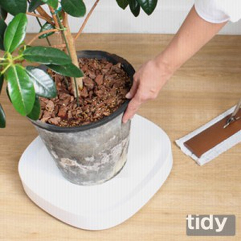 Tidy プランタブル 全3色 植木鉢トレー 観葉植物 ティディ プランターベース テラモト グリーン 植物 キャスター付 鉢置き台 水受け リ 通販 Lineポイント最大1 0 Get Lineショッピング