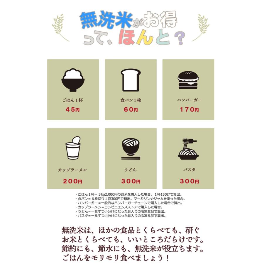 令和５年産新米 送料無料 5kg 九州 宮崎県産「コシヒカリ」5kg×1個 無洗米