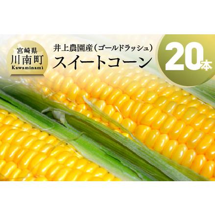 ふるさと納税  宮崎県産 とうもろこし 井上農園産 スイートコーン ゴールドラッシュ )20本 【 とうもろこし スィートコーン ト.. 宮崎県川南町