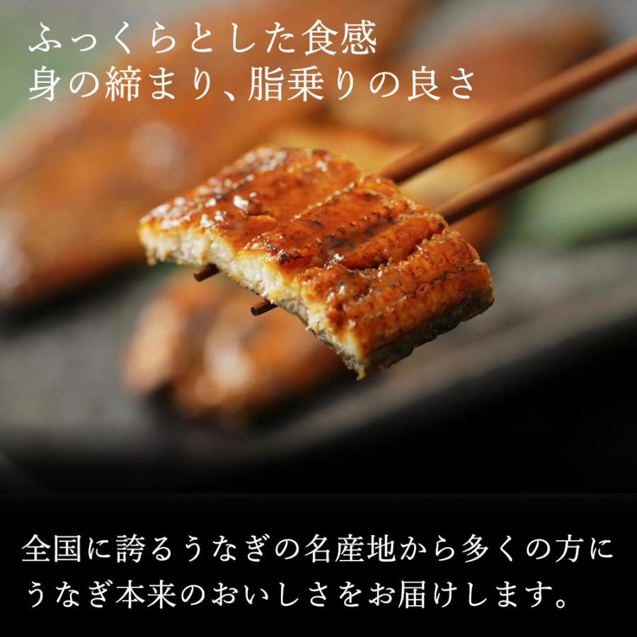 魚魚一 浜名湖産 うなぎ 蒲焼セット とといち  丑の日 土用の丑 贈り物 グルメ 送料無料 60代 70代   2023 プレゼント お歳暮 ギフト