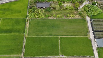 Ⓣ近美濃市區3分多地形方正農地｜高雄市美濃區美濃段