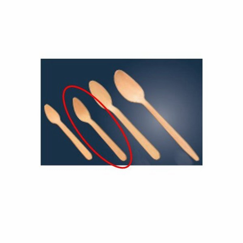 木製 使い捨て スプーン 100本入 110 業務用 新品 通販 Lineポイント最大0 5 Get Lineショッピング