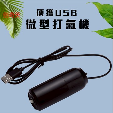 打氣機/台灣規格110v/打氣機/現貨/家用迷你静音USB打氣機\粉\白\黑\綠\110v—|L12|