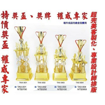 獎盃 獎牌 客製化 訂製各式比賽獎盃皆可承製喔 量多有優惠【大自在運動休閒精品店】