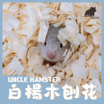 ｜勞叔白楊木刨花｜白楊木墊料 白楊木木屑 倉鼠墊料 木絨墊料 倉鼠木屑 木屑墊料 倉鼠 蛇墊料 雞墊料 白楊木 爬蟲墊料