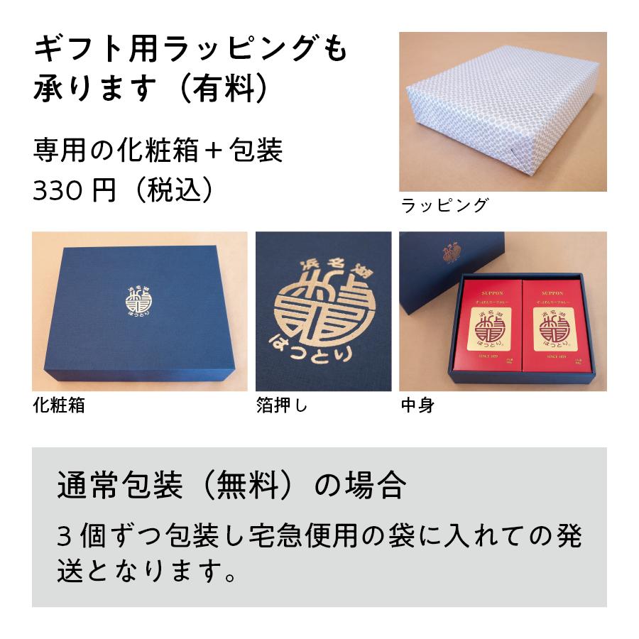 すっぽん スープカレー 6個セット 浜名湖 服部中村養鼈場