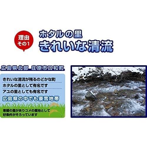 米穀店食の健康社 玄米 10kg (5kg×2) 広島県産 国産 ミルキークイーン ファーム永田